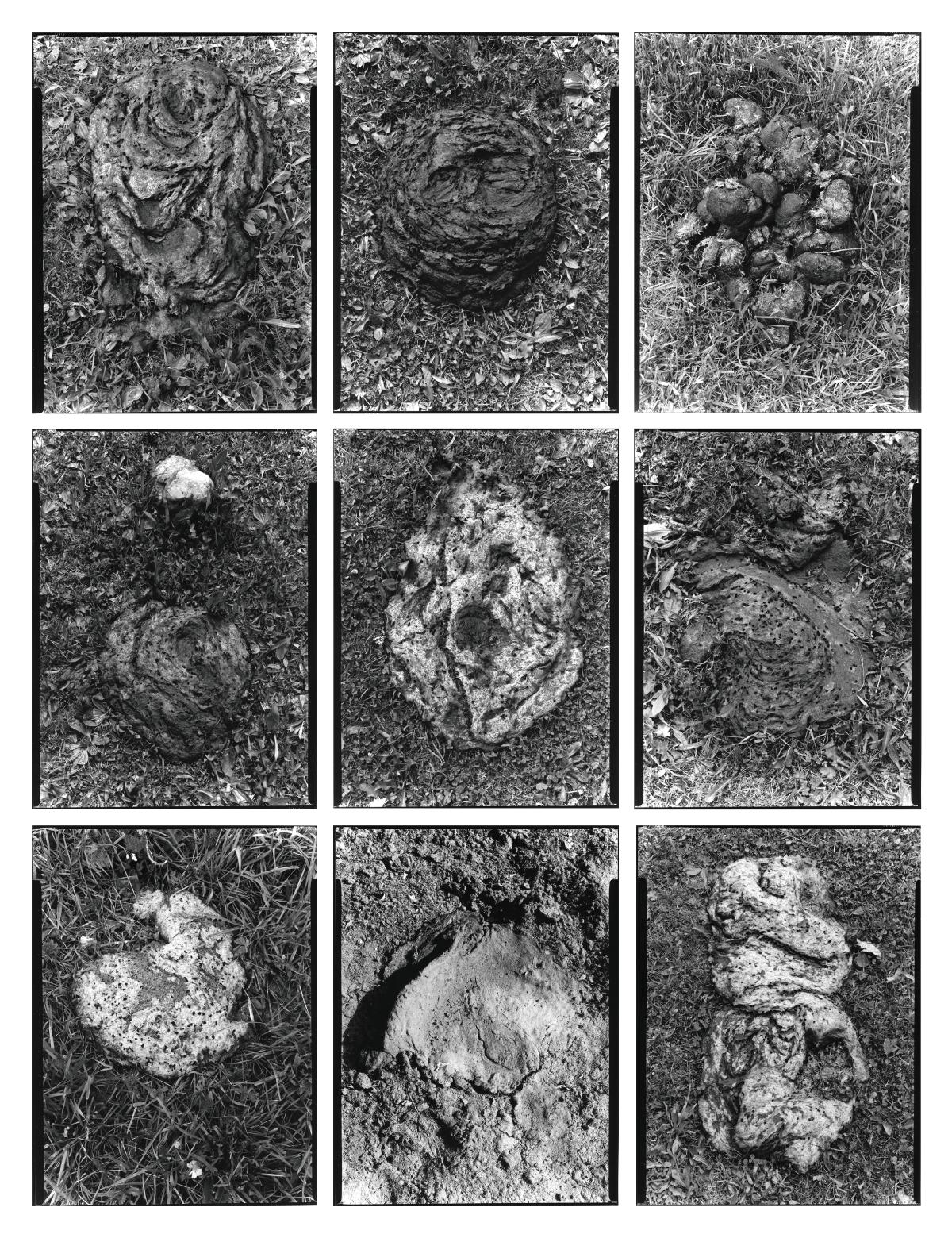 Baridà. Jordi Calafell. Àlbum, festival d’imatge i fotografia contemporània. Baridà. Jordi Calafell. Àlbum, festival d'imatge i fotografia contemporània.